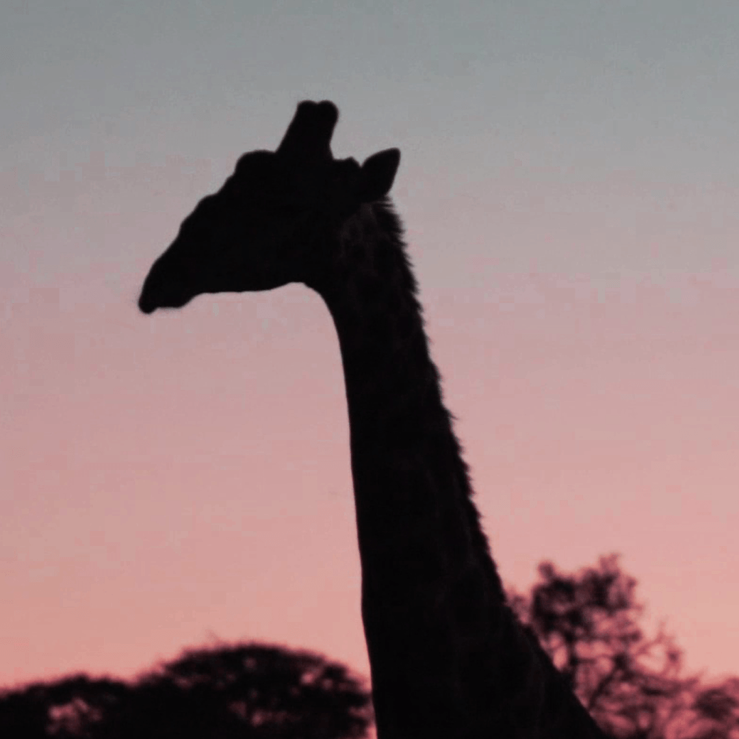 tourismus werbefilm afrika werbung reisen 4